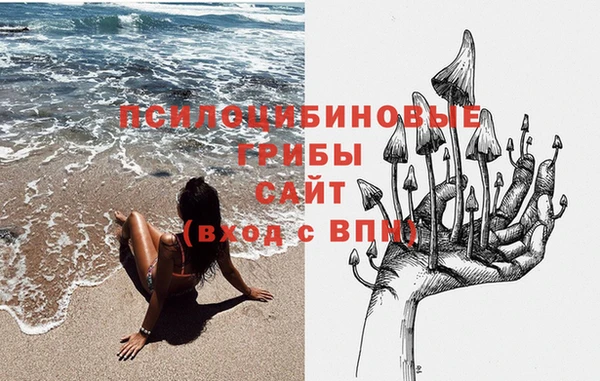 mdpv Алзамай