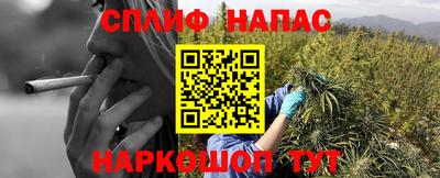 гидра Апрелевка