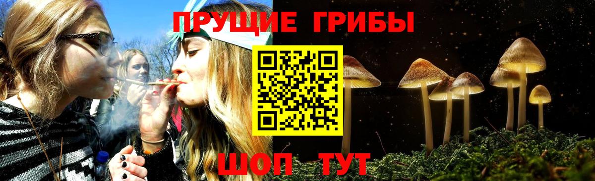 Галлюциногенные грибы мицелий Выкса